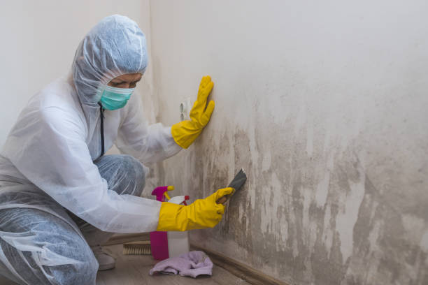 Water Damage Restoration in Princeton, NC