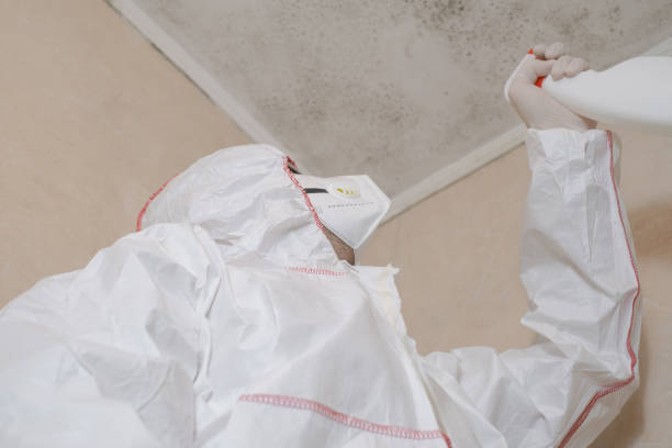 Best Mold Testing  in Prieton, NC